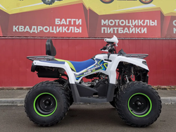 Квадроцикл PROMAX RENEGADE 280 LUX (2025)