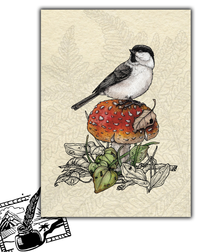 Открытка почтовая. Казакова Екатерина. Гаичка и мухомор