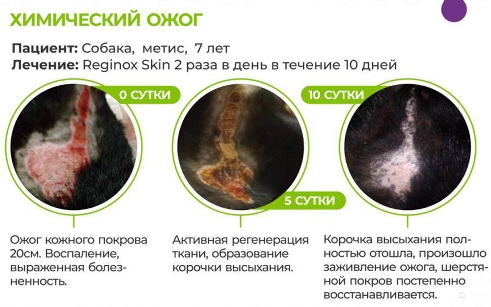 Регинокс скин гель для заживления ран, 20 гр