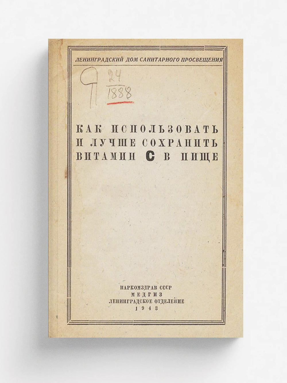 Как использовать и лучше сохранить витамин С в пище | Нет автора