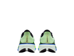 Мужские беговые кроссовки Nike Pegasus 42 M Лаймово-Blue