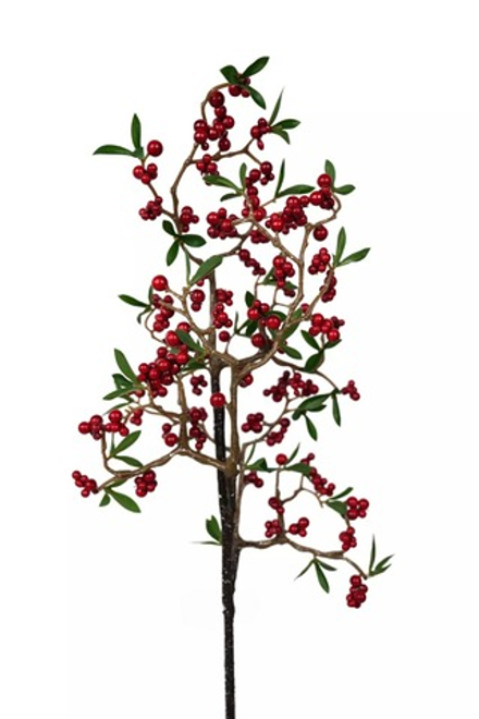 Ветка ягод узкая