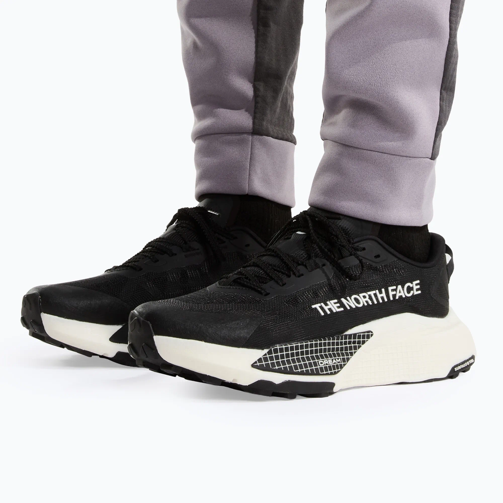 Кроссовки для бега The North Face Altamesa 500 V2 tnf black/white ash