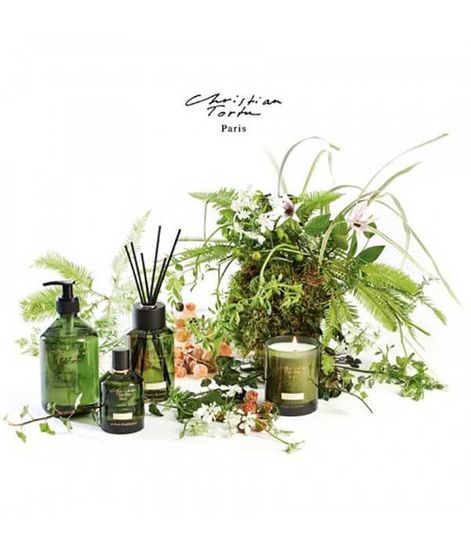 Аромадиффузор Заповедный лес, Christian Tortu