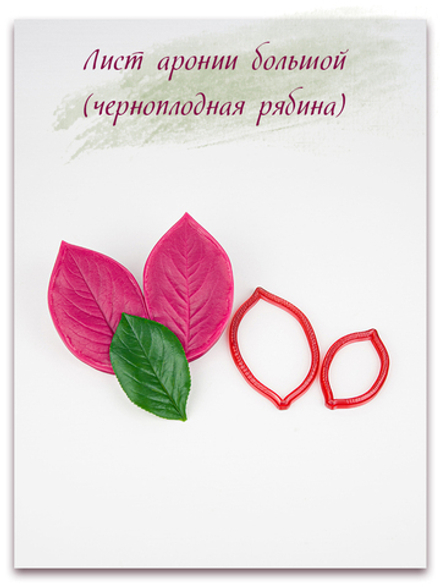 Лист аронии большой (черноплодная рябина)