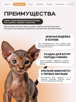 Корм сухой для котят породы Сфинкс, с индейкой, 400 гр, QUATTRO