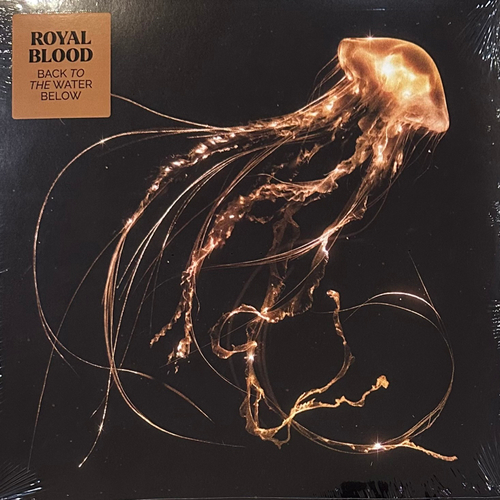 Royal Blood - Back To The Water Below (Германия 2023г.)