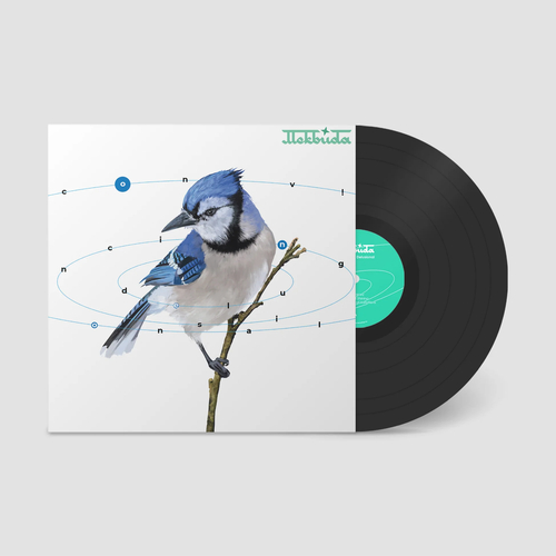 Mekbuda - Convincing Delusional