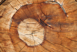 Коллекция Текстуры и фактуры