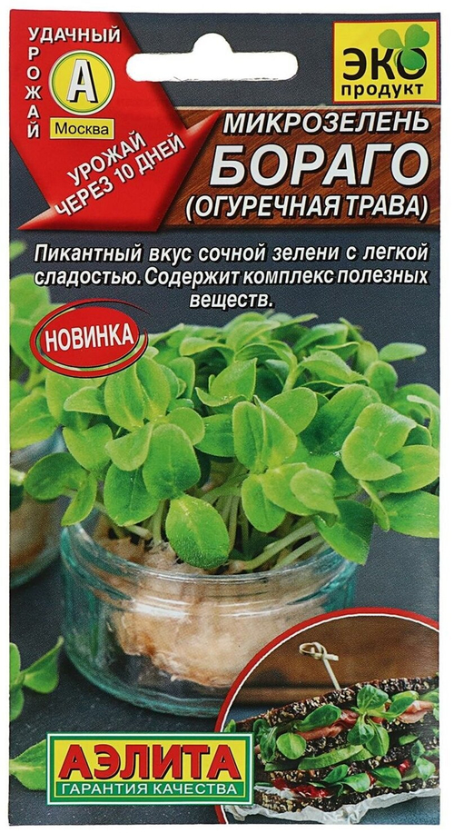 СЕМЕНА МИКРОЗЕЛЕНЬ ОГУРЕЧНАЯ ТРАВА БОРАГО 3Г