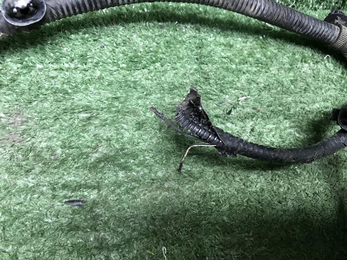 Проводка заднего бампера Haval F7 (2018-2024)