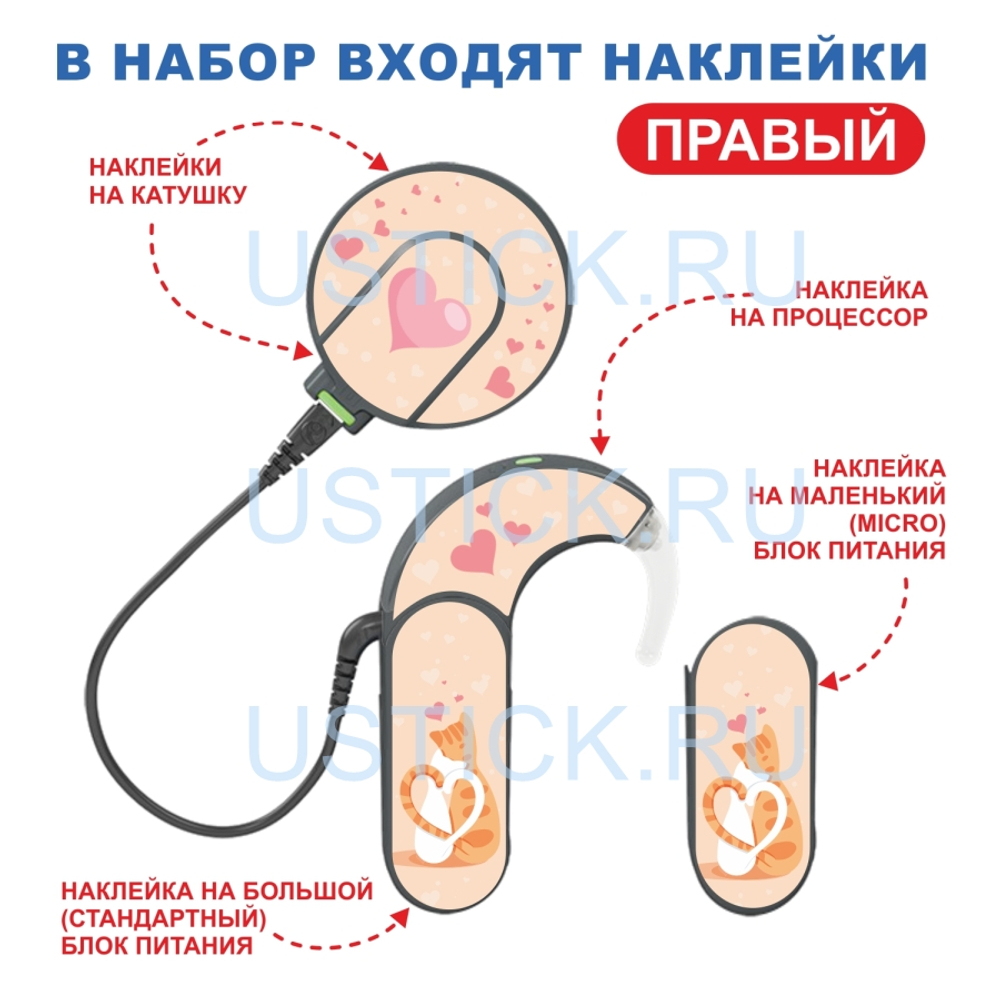 SONNET2 "Влюбленные котики"