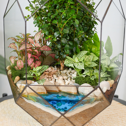 Готовый флорариум бонсай Мирсина Цефей с озером