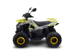 Квадроцикл Avantis Ray 8 Lux (A1)