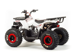 Квадроцикл MotoLand VOX125 WILD A