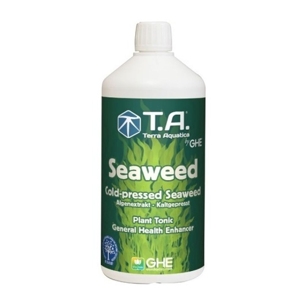 Seaweed