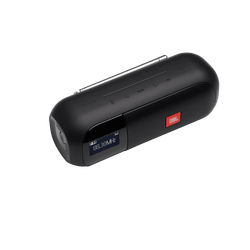 Портативная колонка JBL Tuner 2 FM