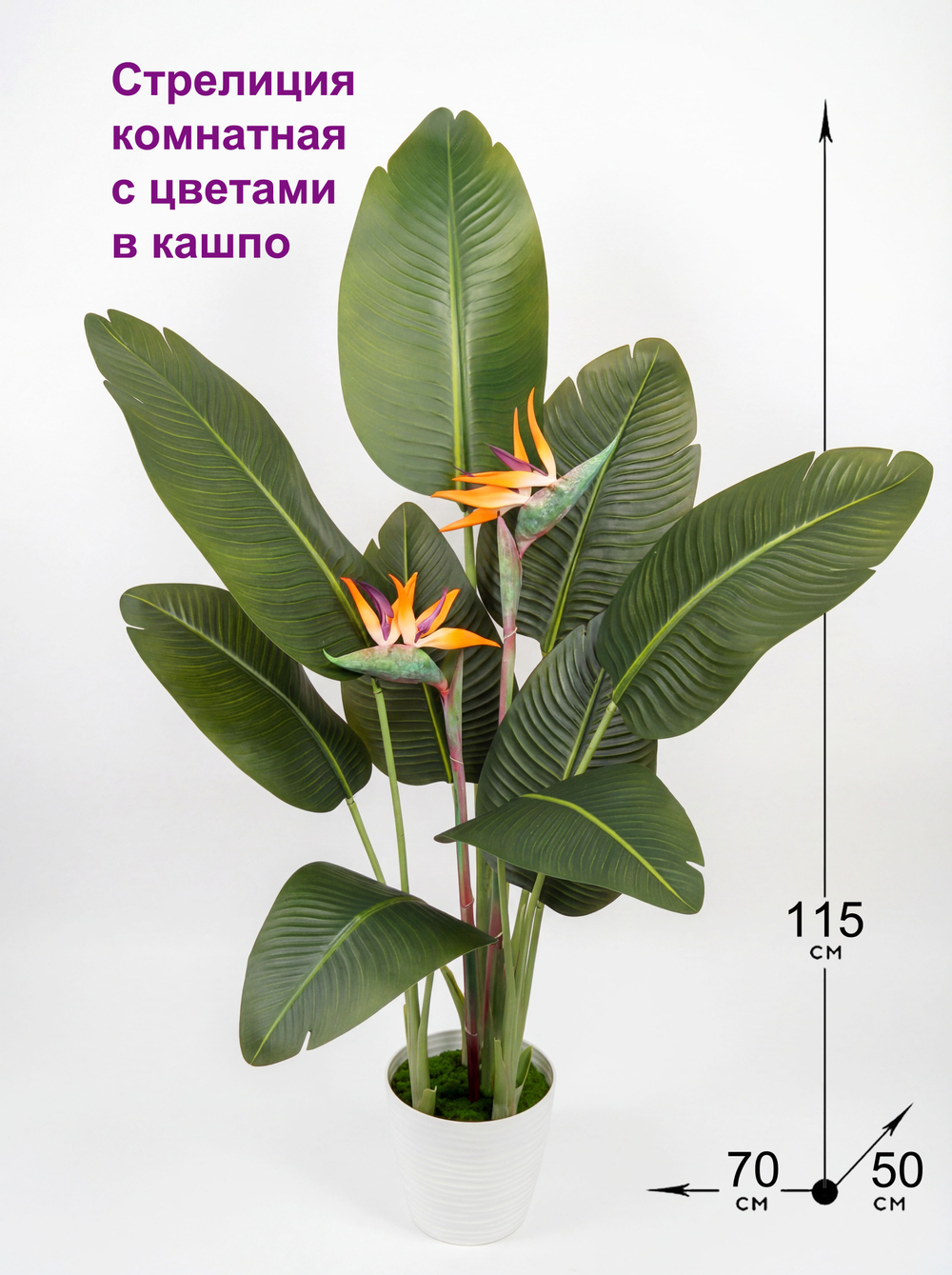 Искусственная стрелиция с цветами в кашпо