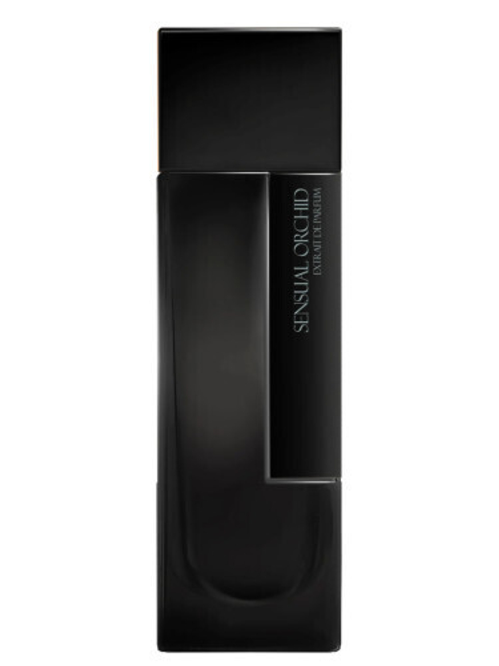 Laurent Mazzone sensual orchid