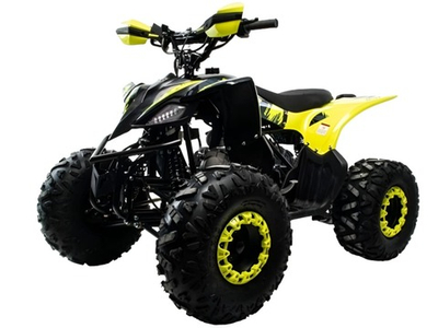 Квадроцикл MOTOLAND VOX125 Raptor