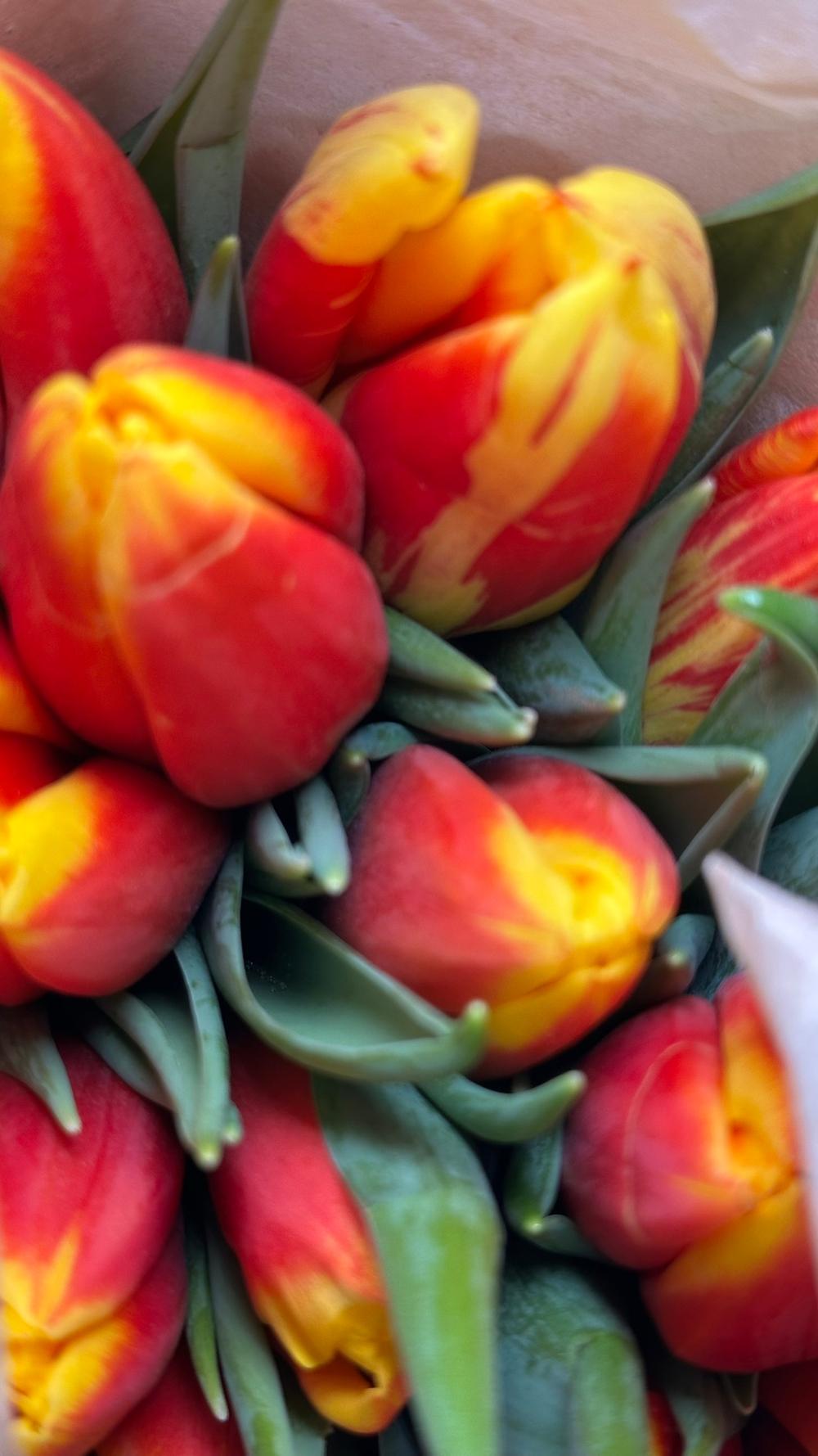 17 штук в фоамиран