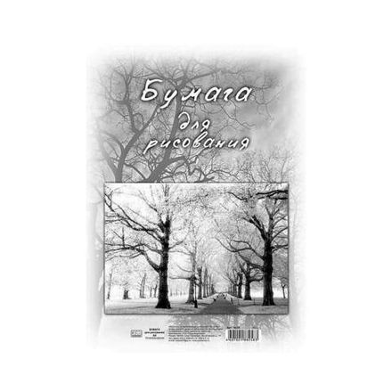 Бумага для рисования А4, 40л, плотность 100гр/м2, Полином