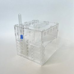 формикарий Crystal L pro + колония Messor Barbarus