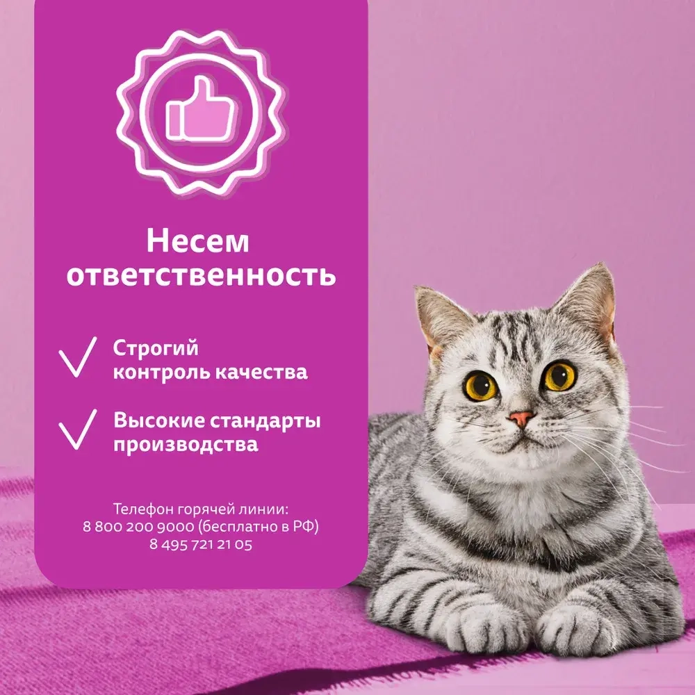 Влажный корм для взрослых кошек Форель паштет, 75г Whiskas