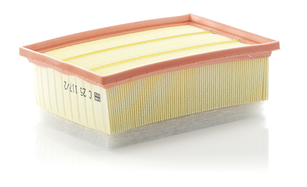 MANN-FILTER - C251172-MNF - Air Filter