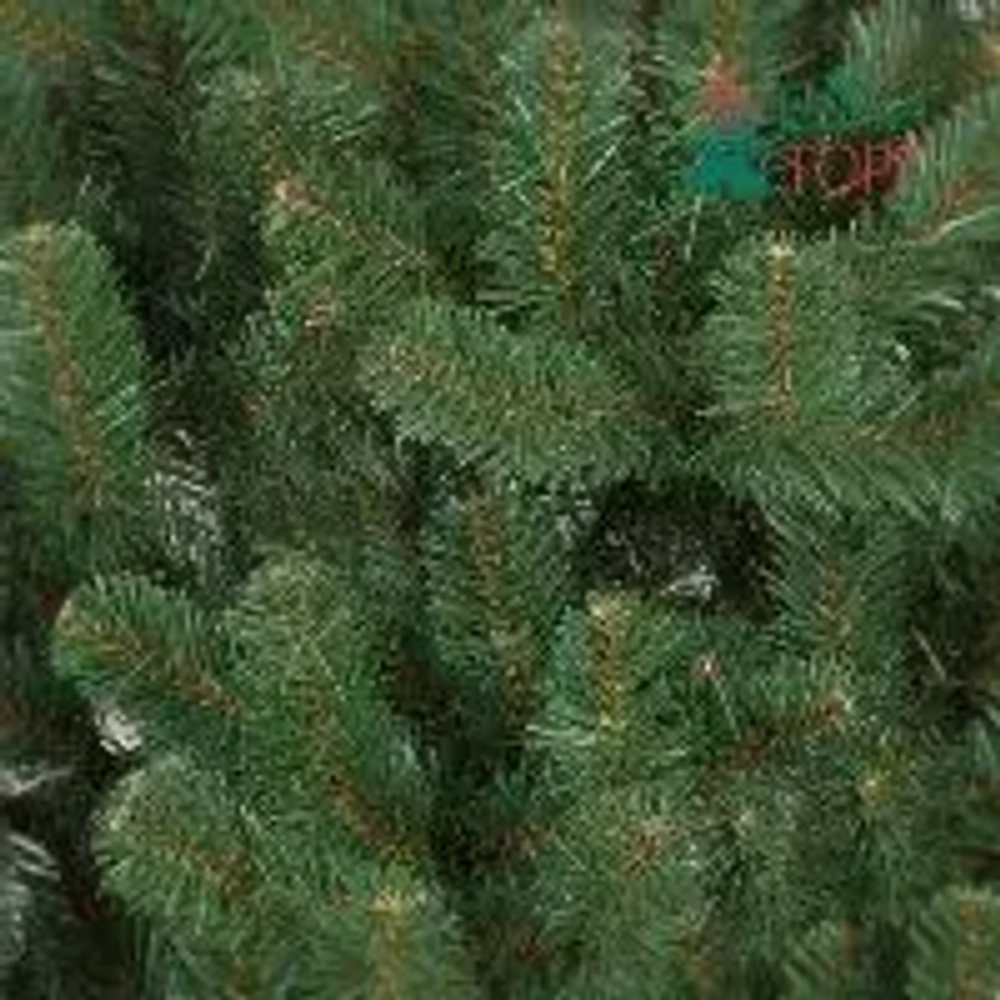 Искусственная сосна Афина PREMIUM 6 м., ствольная, уличная, ПВХ, ЕлкиТорг (59600)