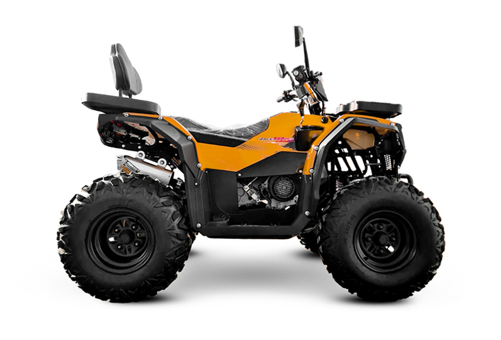 Комплект для сборки квадроцикла PROGASI Race Jumper 200 Max Power