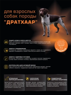 Сухой корм для собак породы Дратхаар, с индейкой, 12 кг