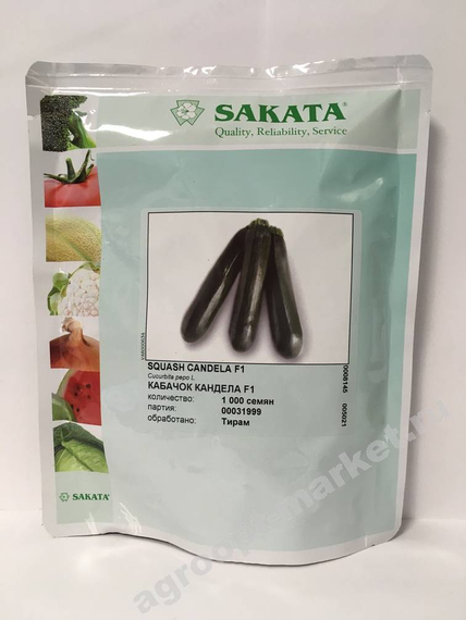 Кандела F1 семена кабачка (Sakata / Саката) – фото 3