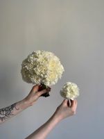 Свадебный букет из диантусов