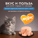Влажный корм для котят старше 3 месяцев Деликатес Фондан из мяса курицы с козьим молоком Мнямс 80 г 6 шт