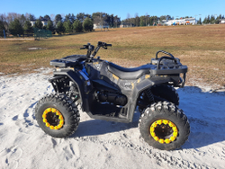 Квадроцикл бензиновый MOTAX GRIZLIK W200