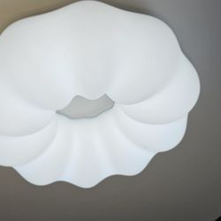 Накладной светильник Zortes Soft ZRS.1118.2