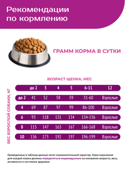Корм сухой для щенков мелких пород, с говядиной, 800 гр, QUATTRO