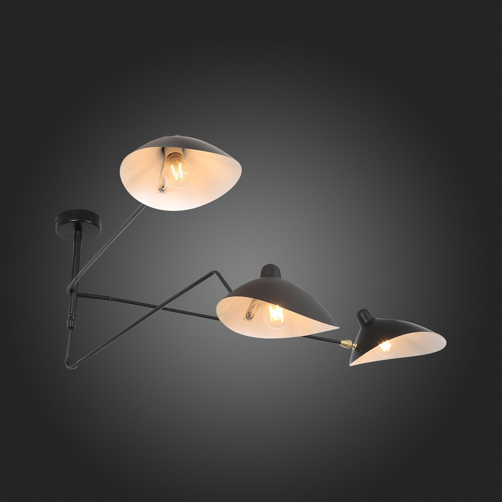Люстра потолочная ST Luce Spruzzo SL305.402.03