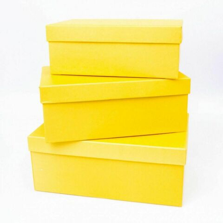 Коробка ПРЯМОУГОЛЬНАЯ ЛИМОН 23.5*15*9.2