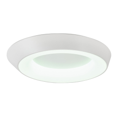 Потолочный светодиодный светильник с пультом MyFar Phoebe MR9150-CL