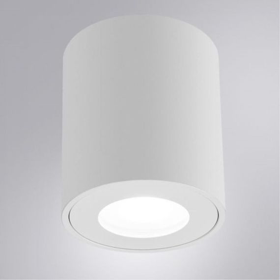 Потолочный светильник Arte Lamp Tino A1469PL-1WH