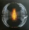 Pearl Jam - Dark Matter - LP