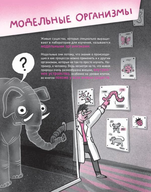 Микросупергерои. Самые полезные