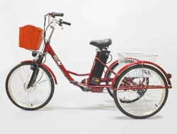 Электровелосипед Green Camel Трайк-24
