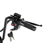 ЭЛЕКТРОСКУТЕР CITYCOCO GT X5 TRIKE 1500W 15AH 48V Черный