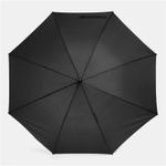 Зонт-трость WIND