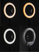 Светодиодный осветитель Raylab RL-0114 Kit кольцевой