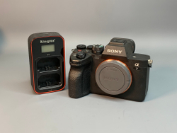 Sony A7 Mark IV 4.950 кадров