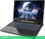 Игровой ноутбук Colorful Evol P15 24 A10205400054